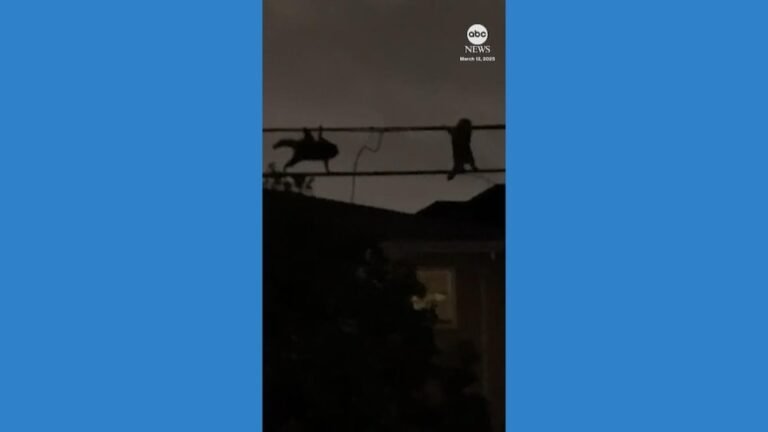hulu