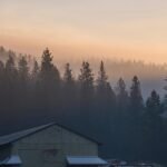 Photos at Canfield Mountain, Idaho, where firefighters came under deadly attack