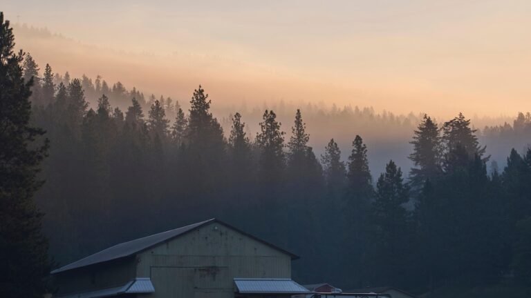Photos at Canfield Mountain, Idaho, where firefighters came under deadly attack